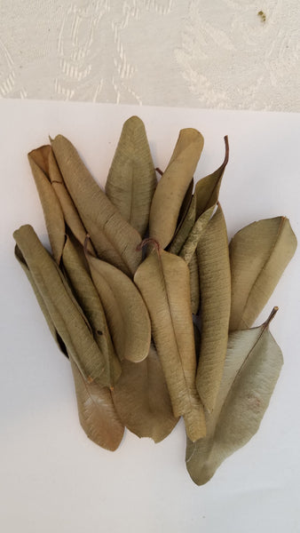 Bay leaf tea/ healthy heart/lowers blood sugar/aids digestion