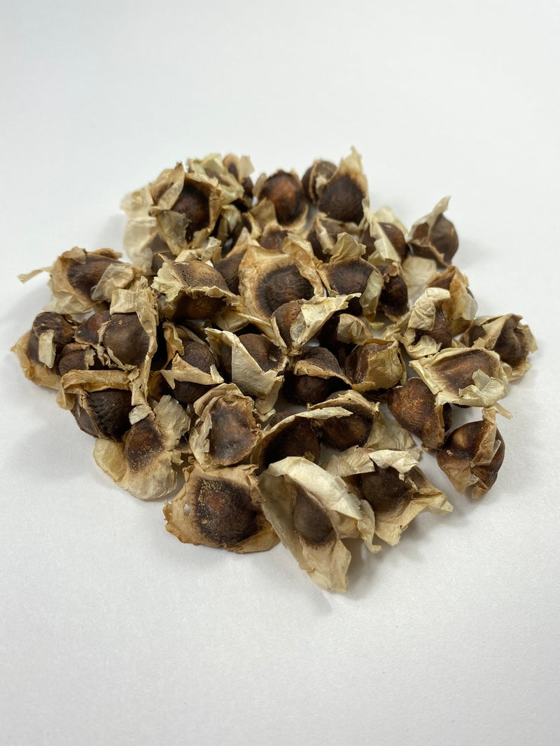 MORINGA SEEDS