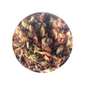 LARGE MORINGA GINGER - spiceteasofthecaribbean